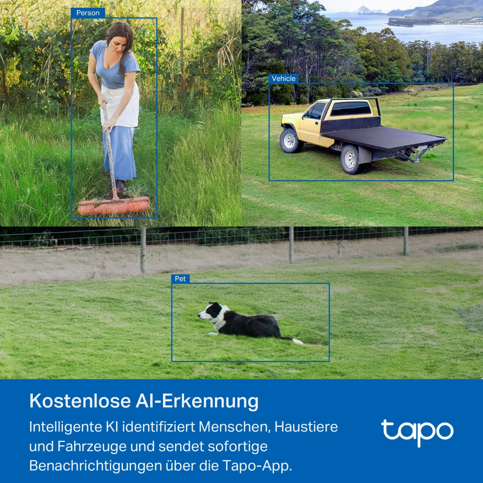 Vorschaubild 6