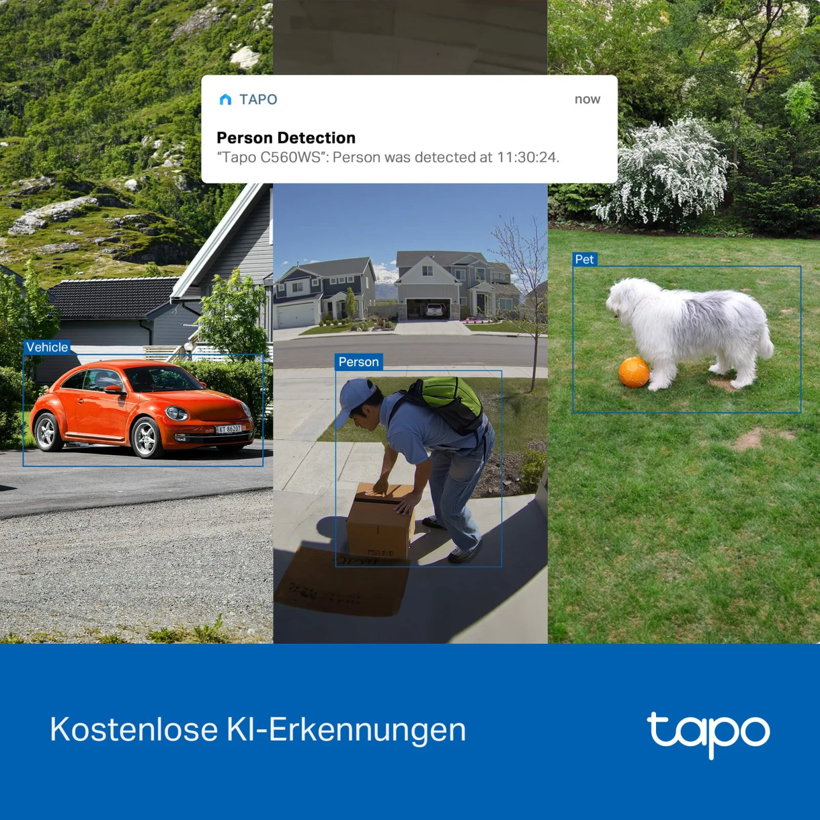 Vorschaubild 6