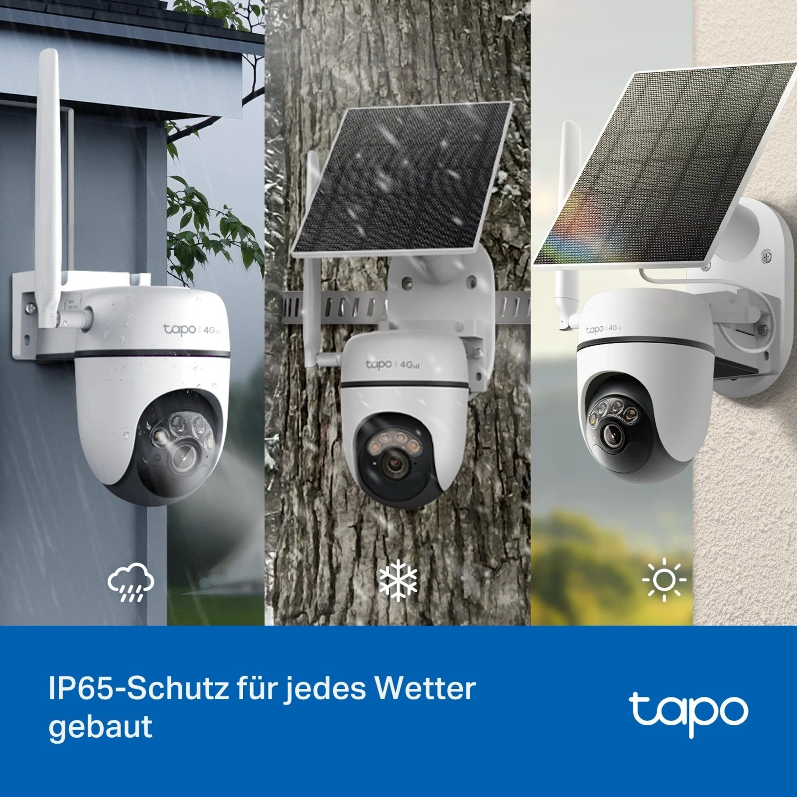 Vorschaubild 10
