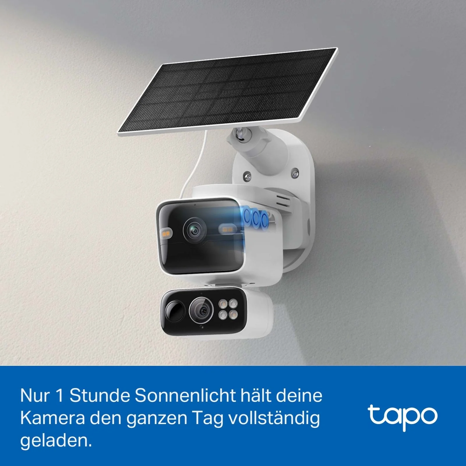 Vorschaubild 7