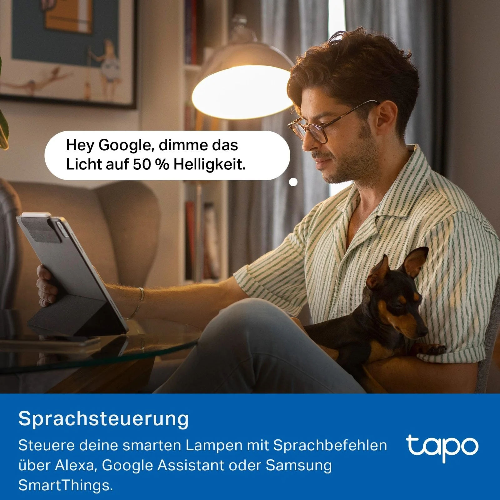 Vorschaubild 8