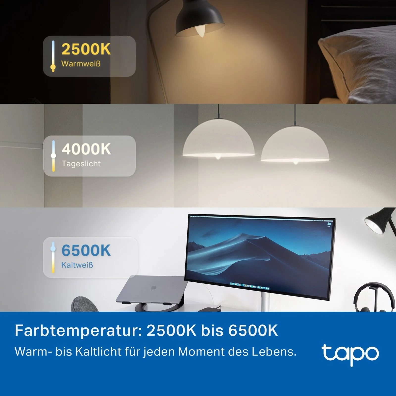 Vorschaubild 7