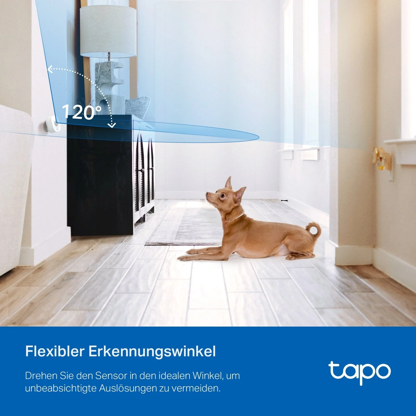 Vorschaubild 6